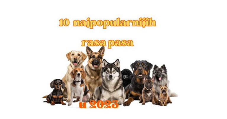 najpopularnije rase pasa